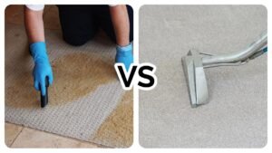 Deep Carpet Cleaning vs Regular Carpet Cleaning