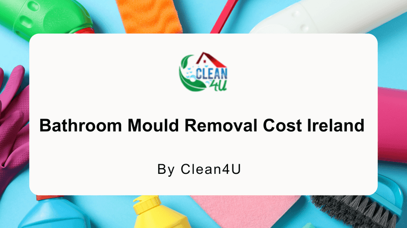Bathroom Mould Removal Costs Ireland