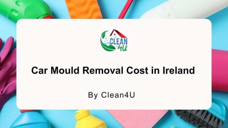Car Mould Removal Cost in Ireland
