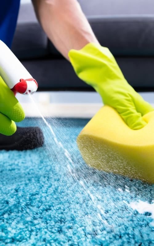 Carpet Cleaning Kildare 2