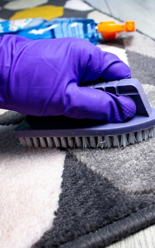 Dun-Laoghaire House Cleaning Services 1