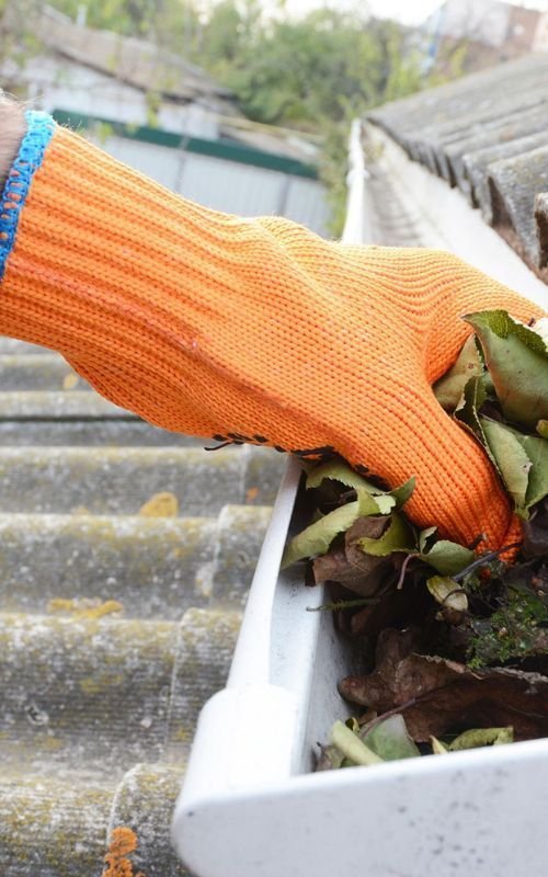 Gutter Cleaning Dublin 2