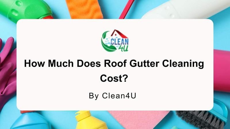 How Much Does Roof Gutter Cleaning Cost?