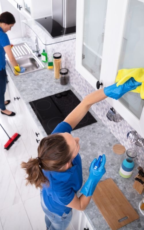 Kitchen Cleaning mould
