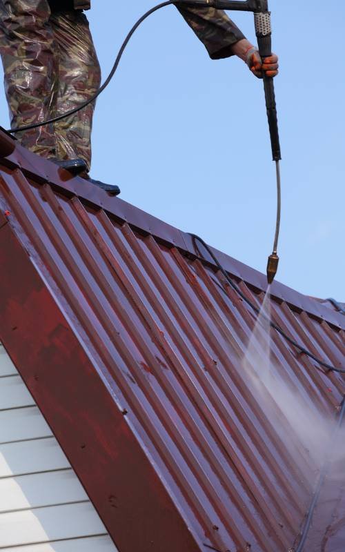 Roof-Cleaning-Services2