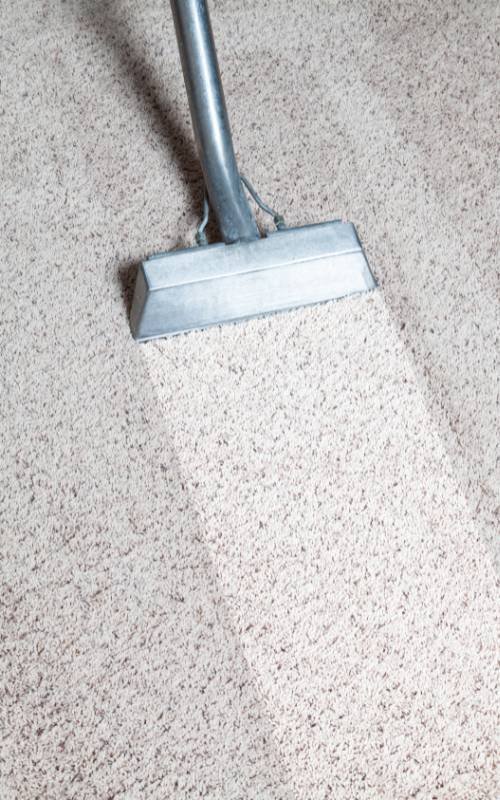 Rug-Cleaning-Dublin-1