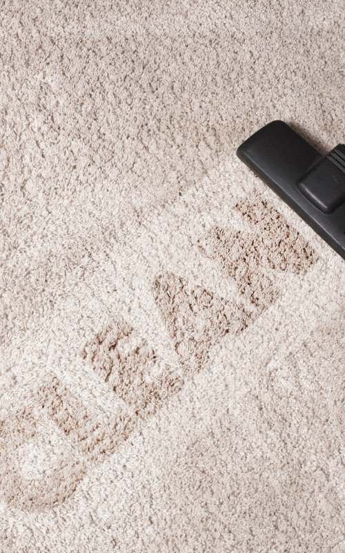 carpet-cleaning-dublin 2