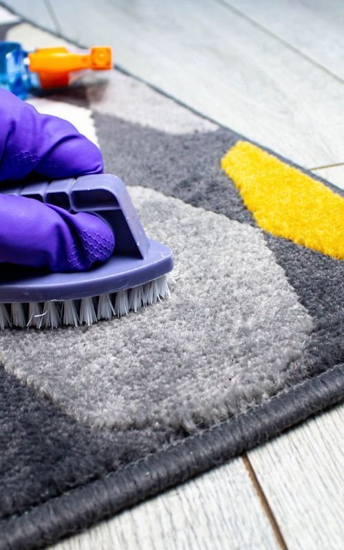 Carpet Cleaning Dublin 2 carpet cleaning dublin