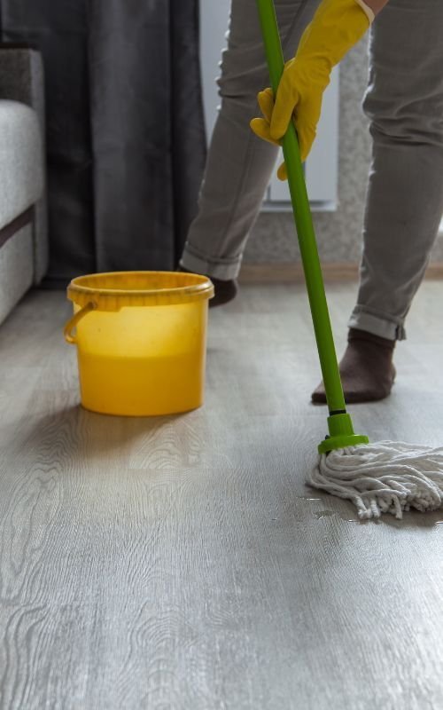 cleaning-in-Ashtown