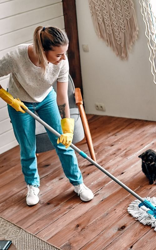House Cleaning Services in Balrothery 2 house cleaning balrothery 3