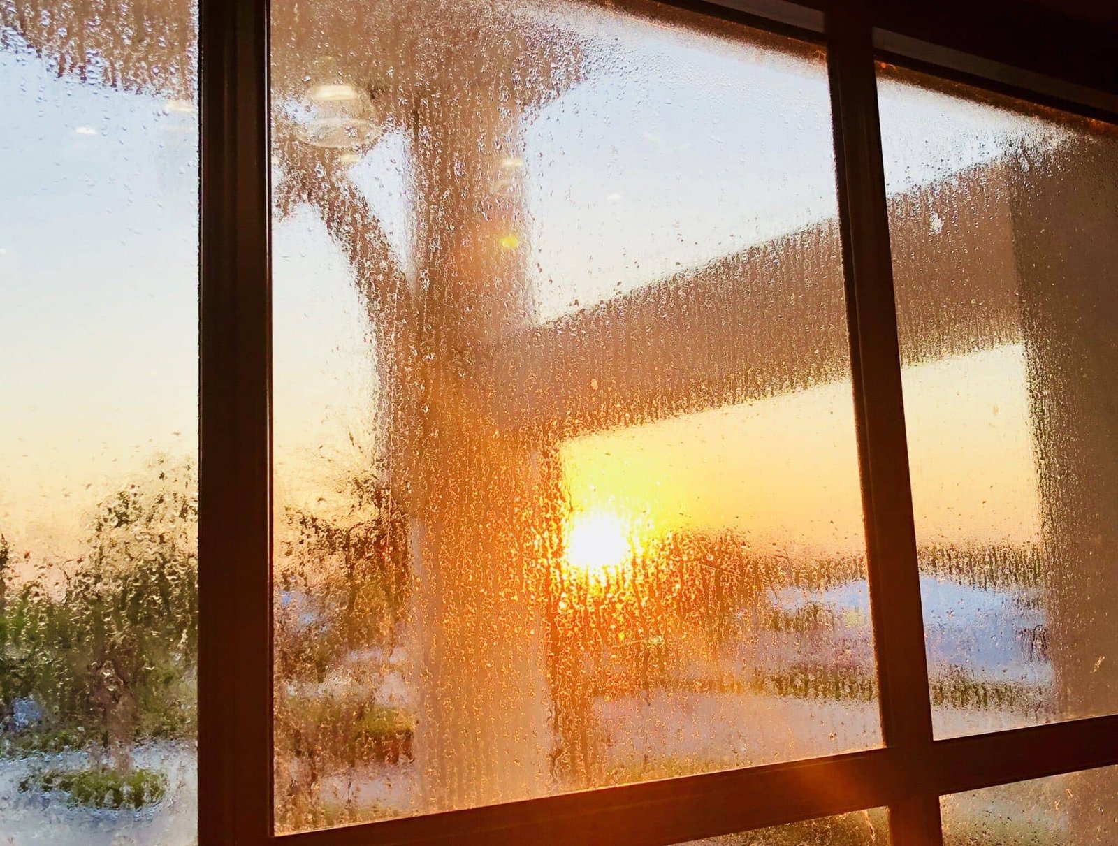 looking-at-the-sunrise-through-a-window-with-conde-2022-11-08-09-07-42-utc-scaled